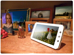 Camingi webstation